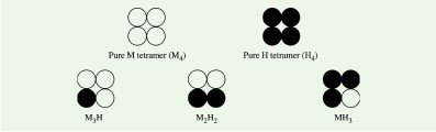 molecular form of LDH